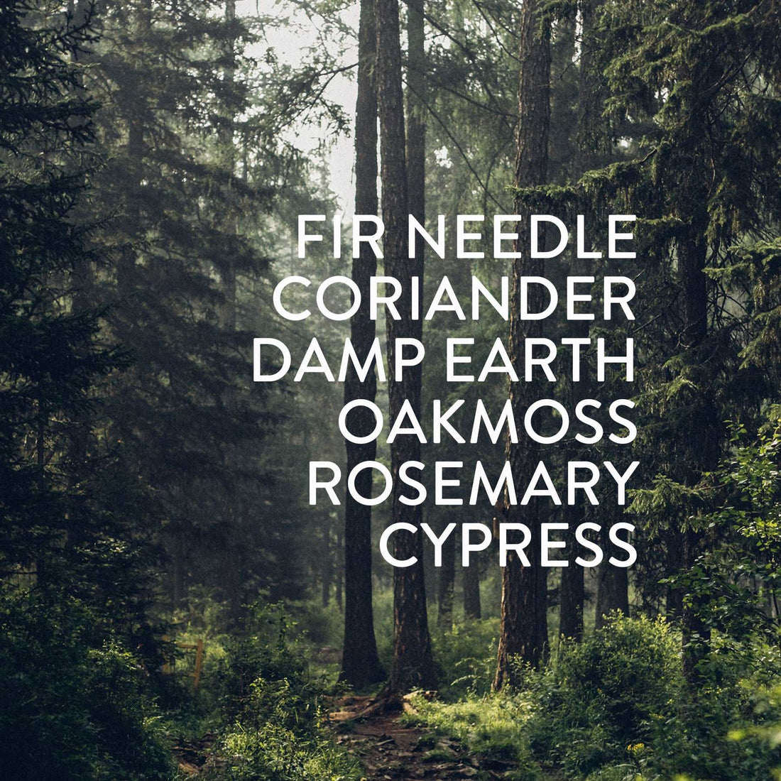 Forest Jar Candle