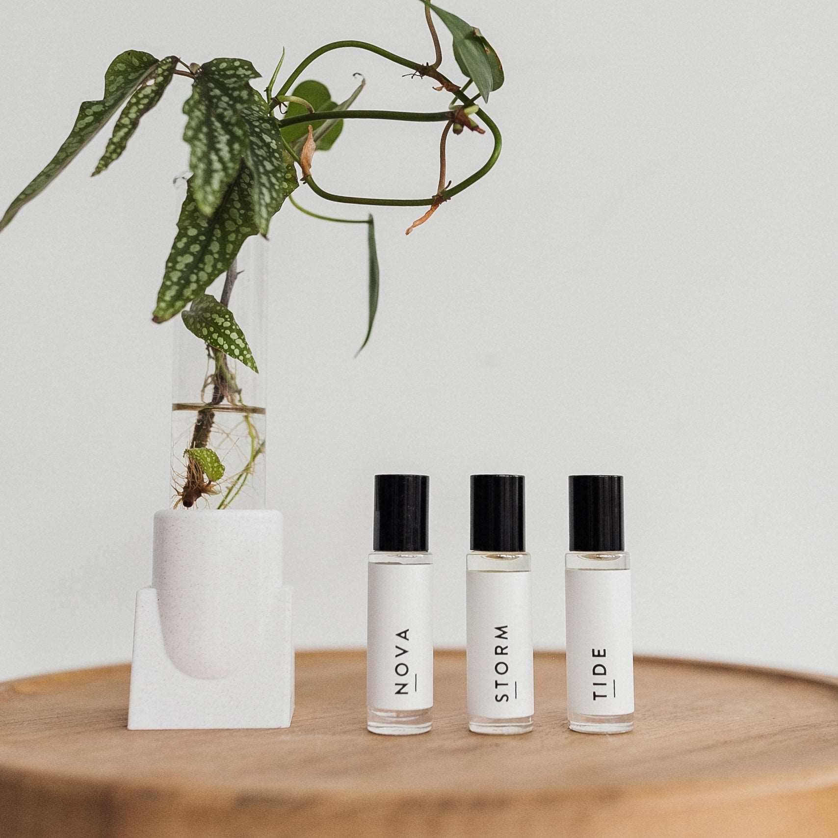 WHSL Tide Fragrance Roller
