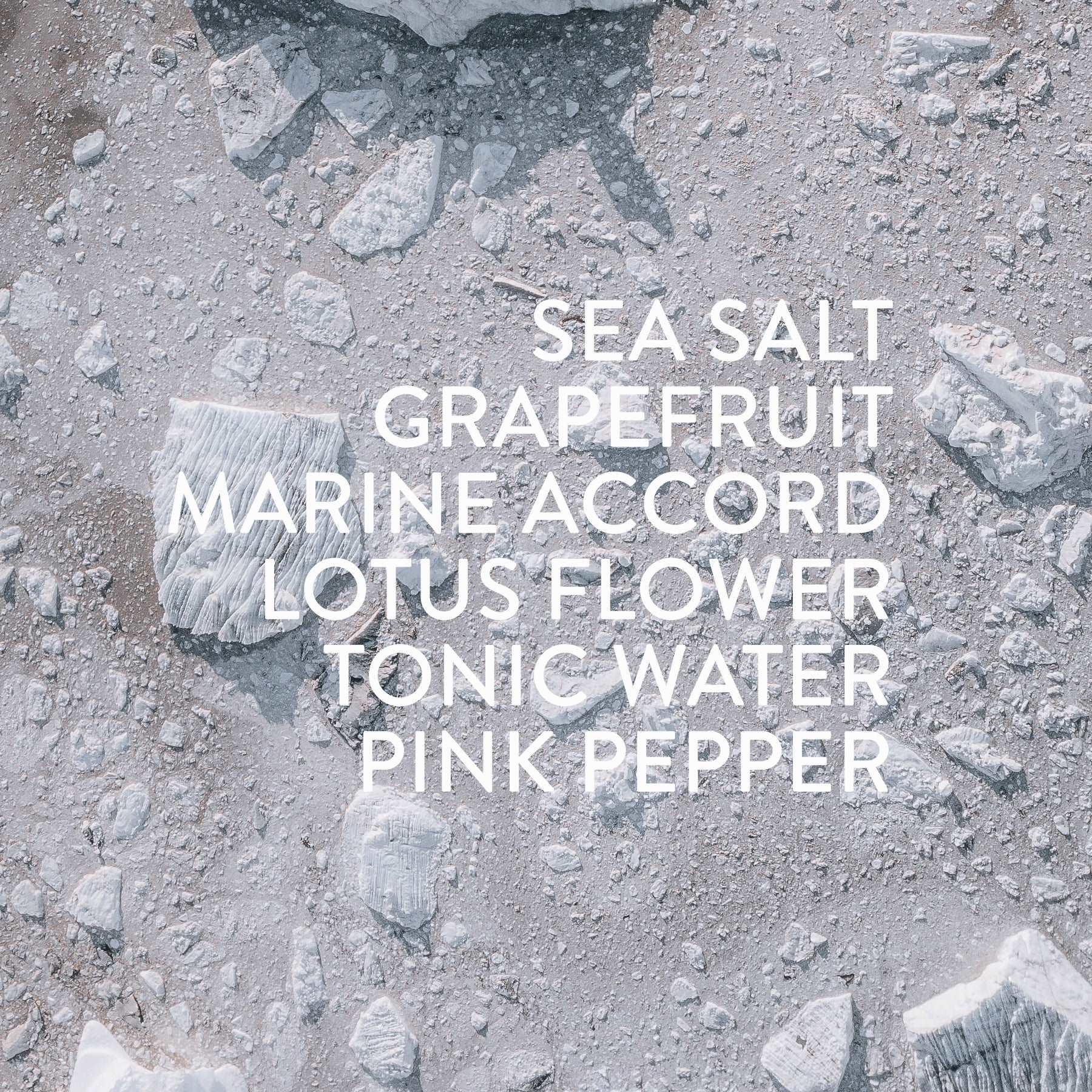 WHSL Salt Fragrance Roller