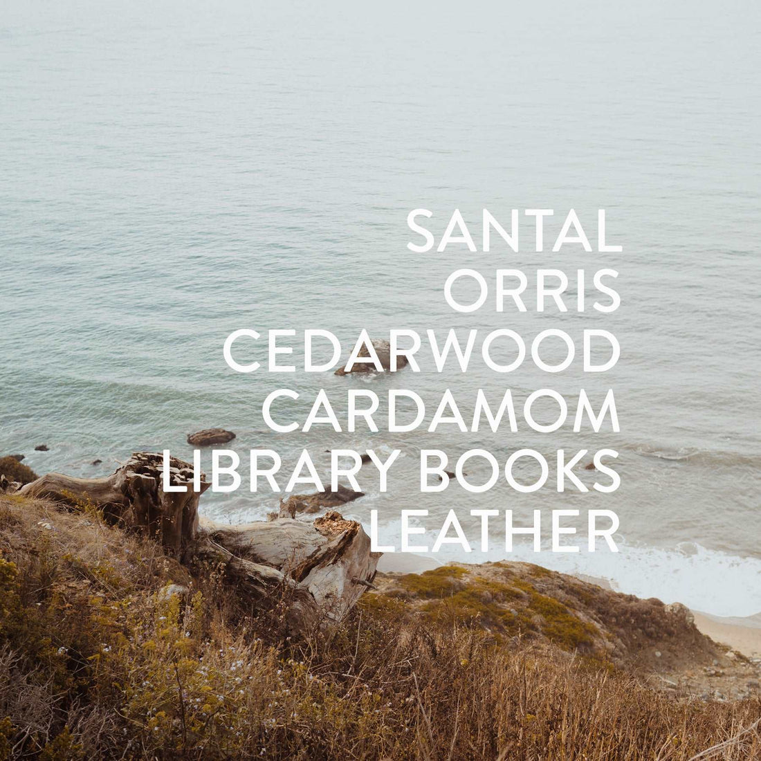 Tide Fragrance Roller