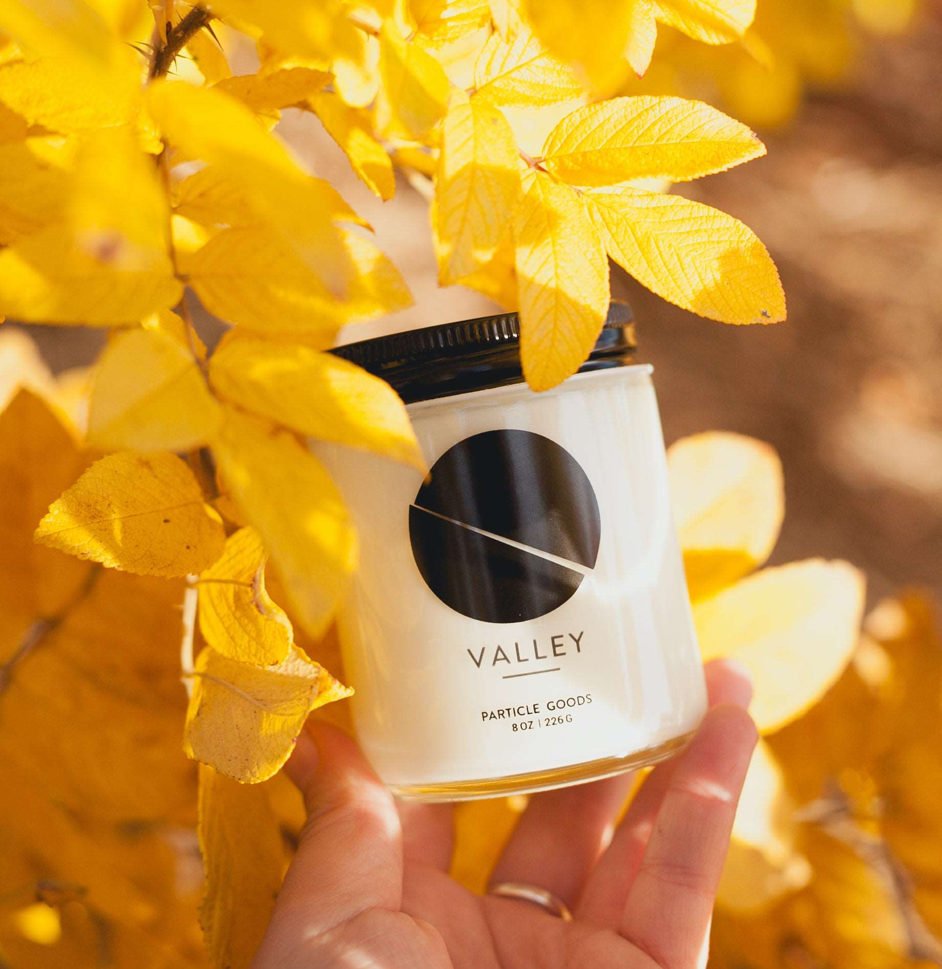 WHSL Valley Jar Candle