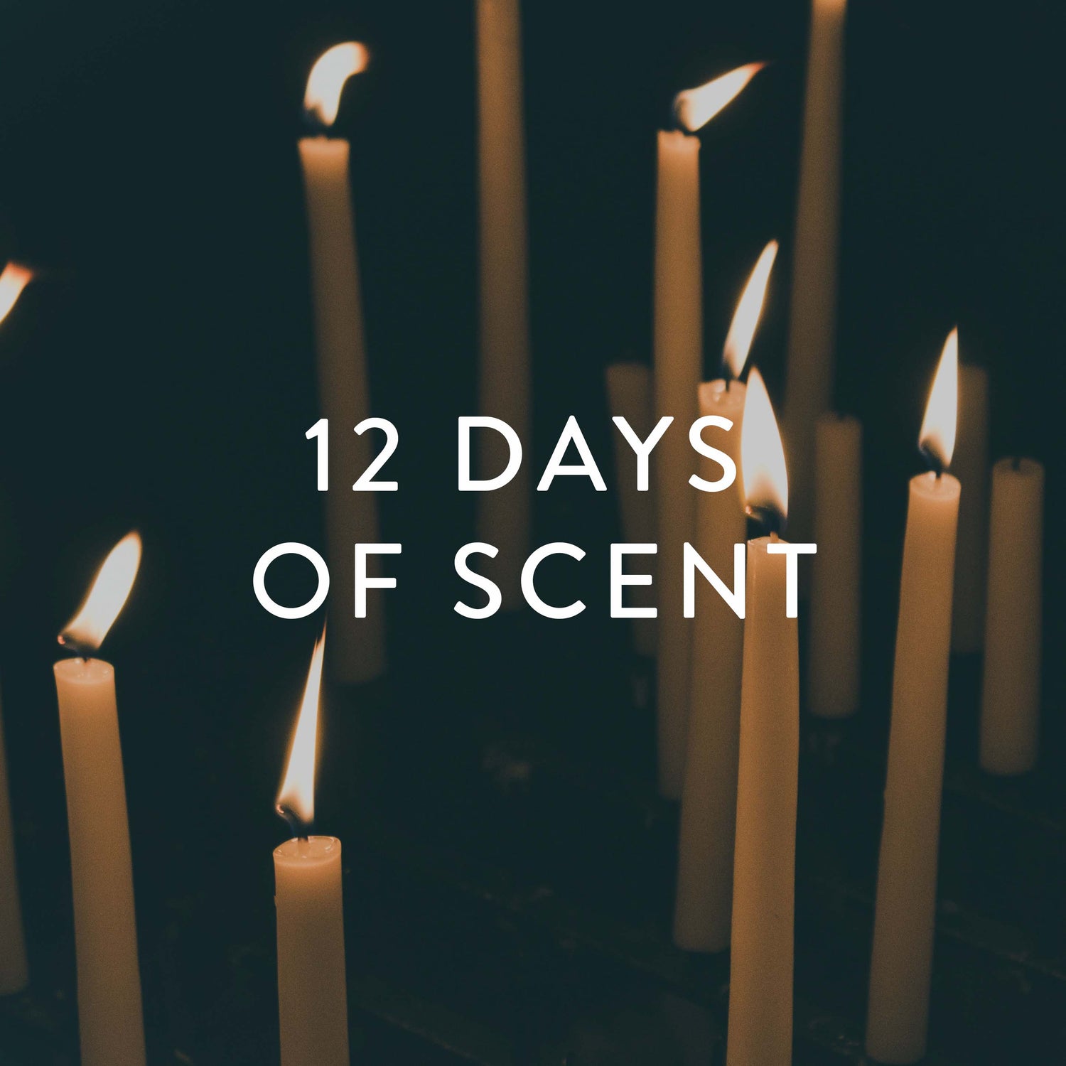 12 Days Of Scent Advent Calendar