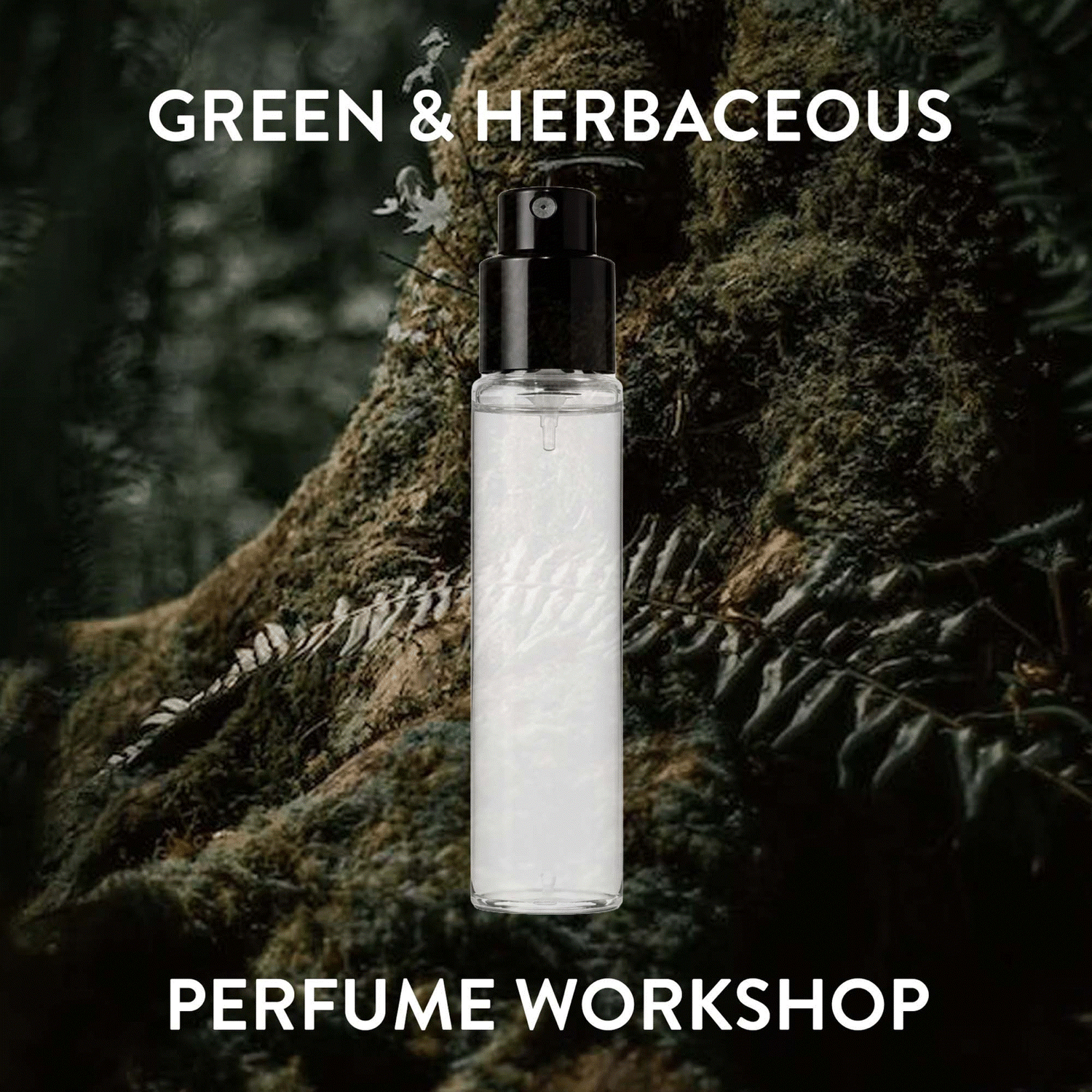 Green &amp; Herbaceous Perfume Workshop
